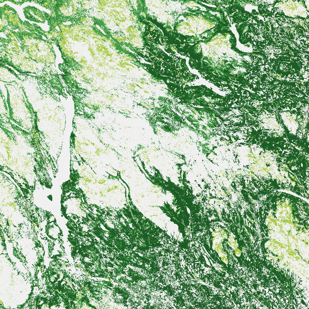 Copernicus Land Monitoring Service: Forest and grass layers
